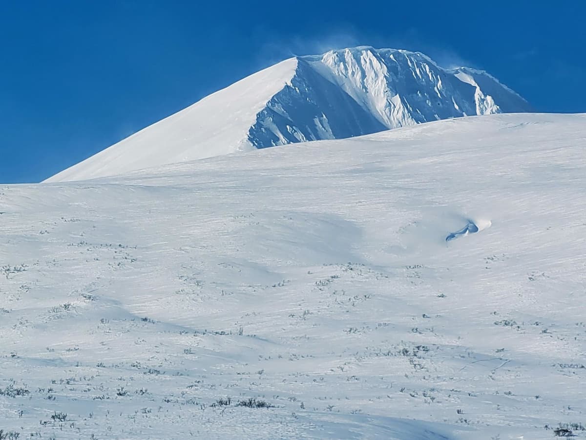 North wind is transporting snow up high. 
