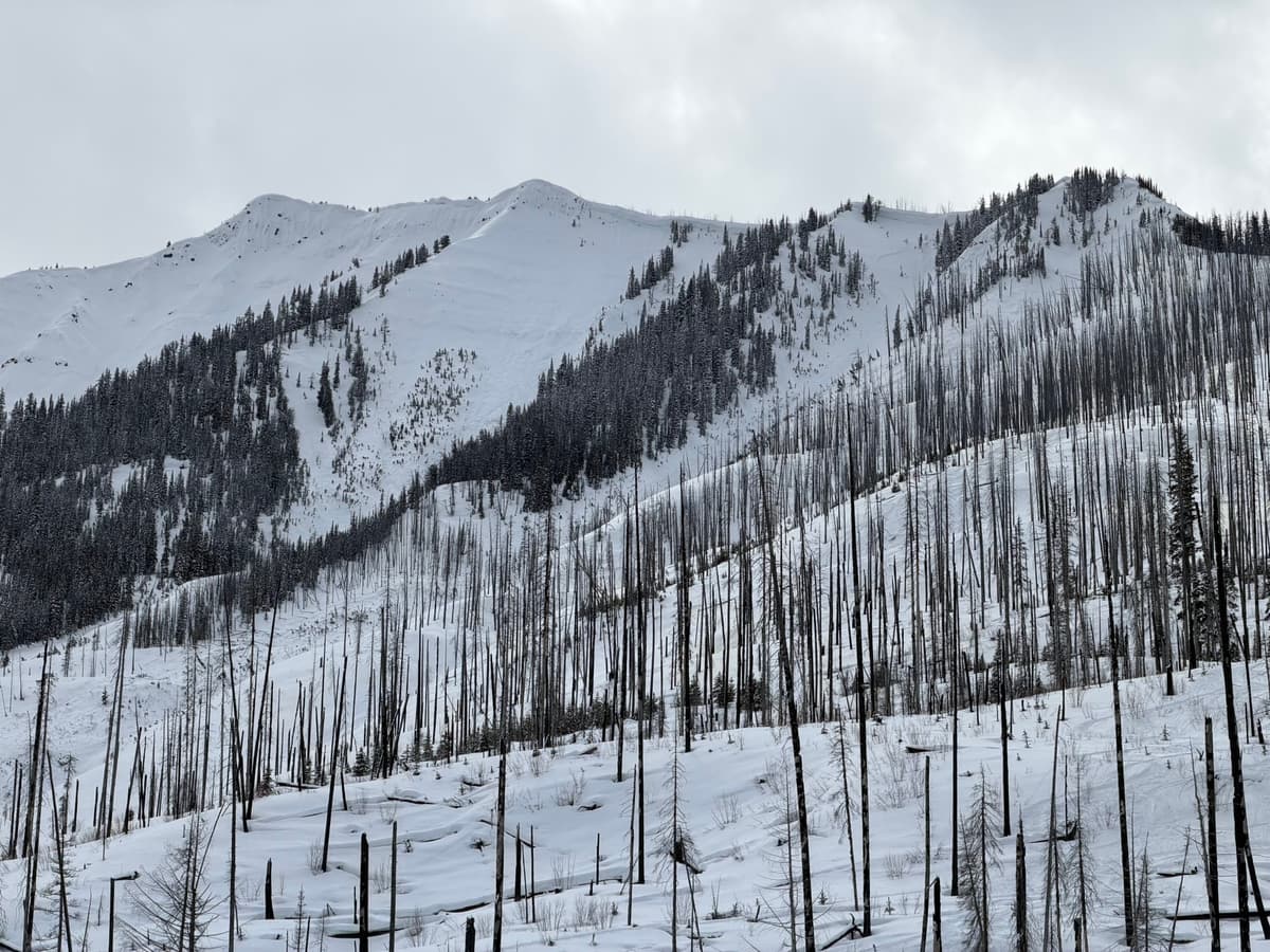 Cornices on looker left 