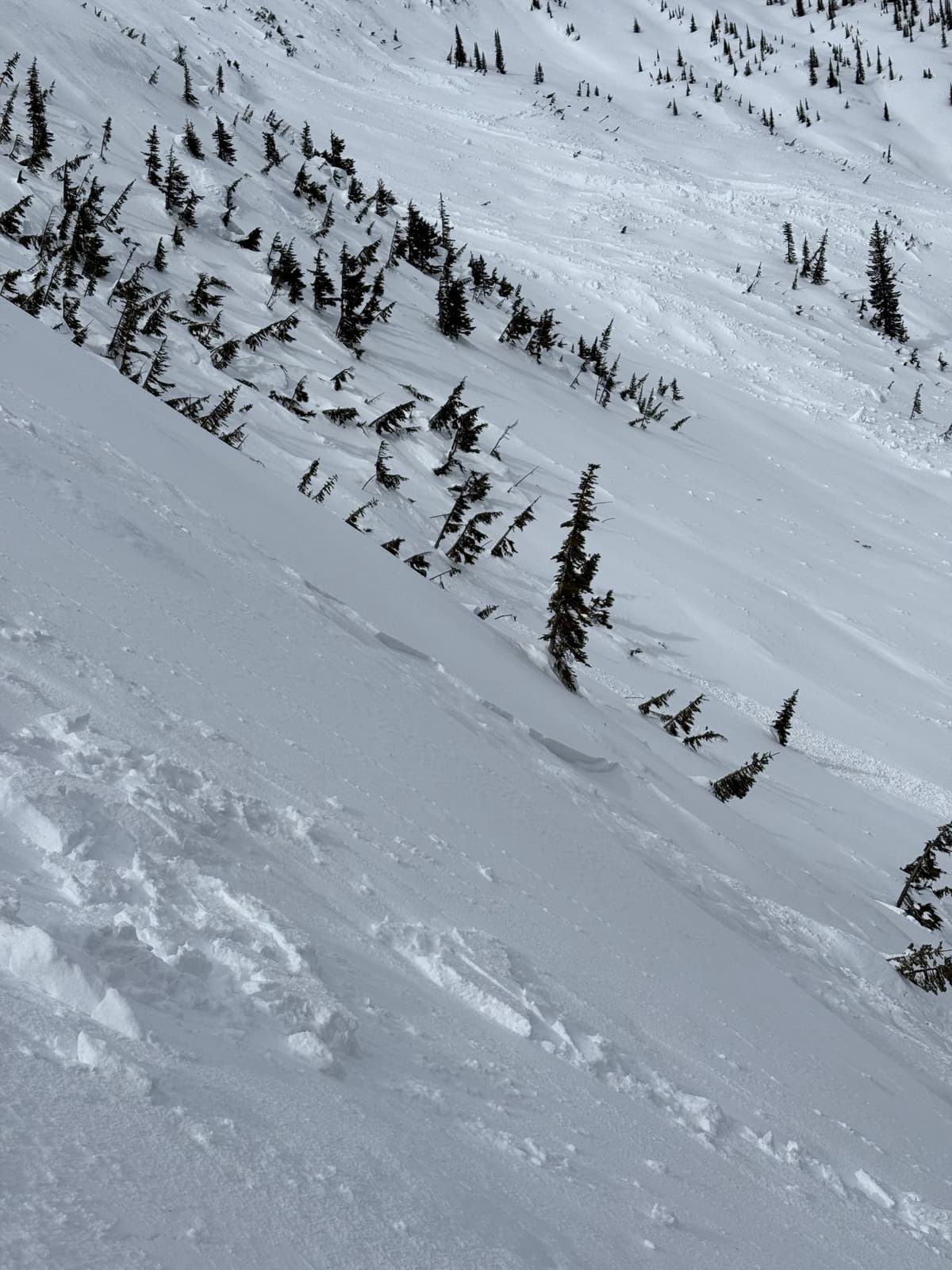 Extremely touchy layer of new snow on top of crust/ bed surface
