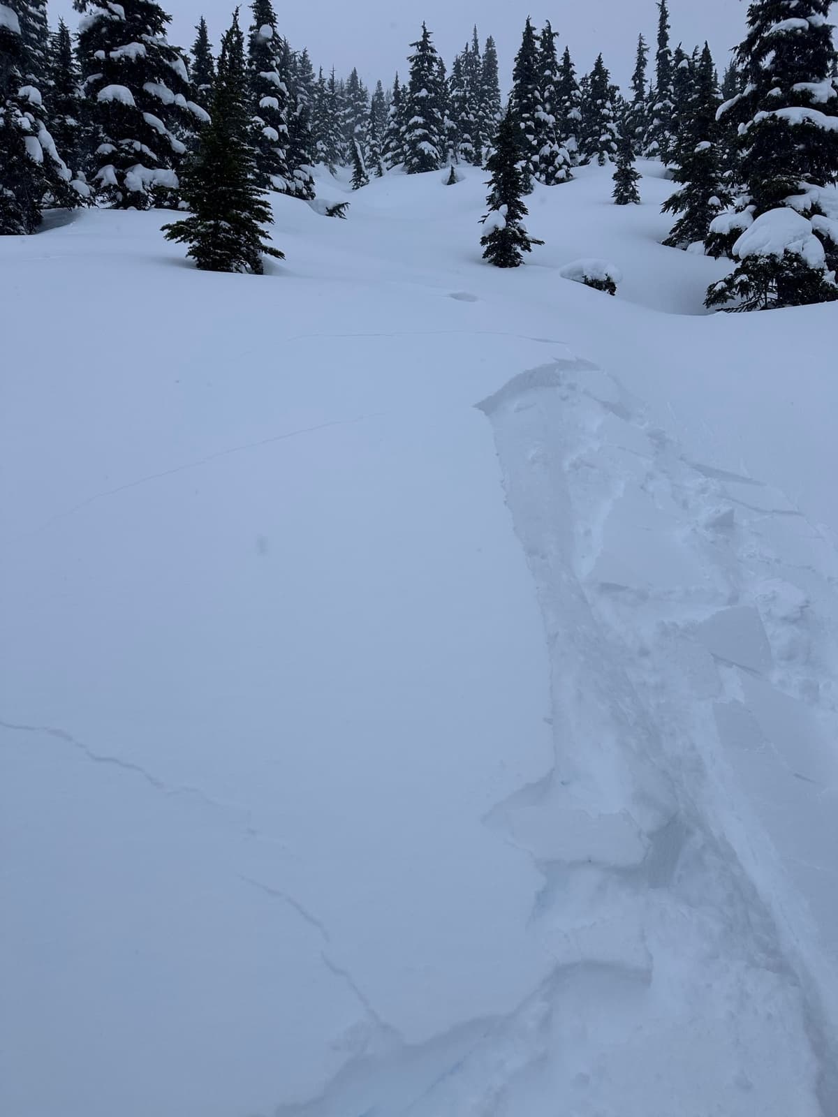 Shooting cracks on the left side with small slab releasing on lee pockets. 