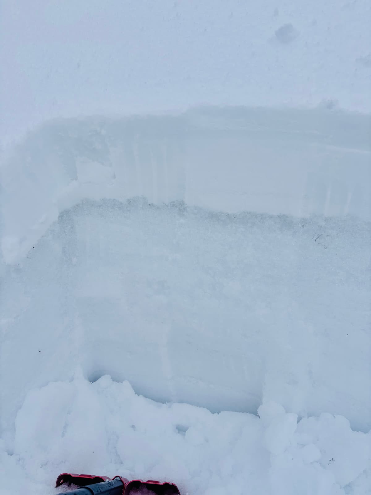 Upper snowpack on a South aspect at 1800 m