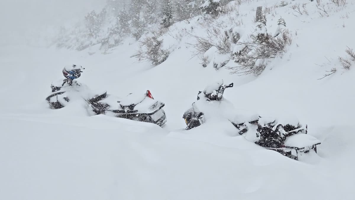 Might have been probing for the snow ponies if we stayed out much longer!