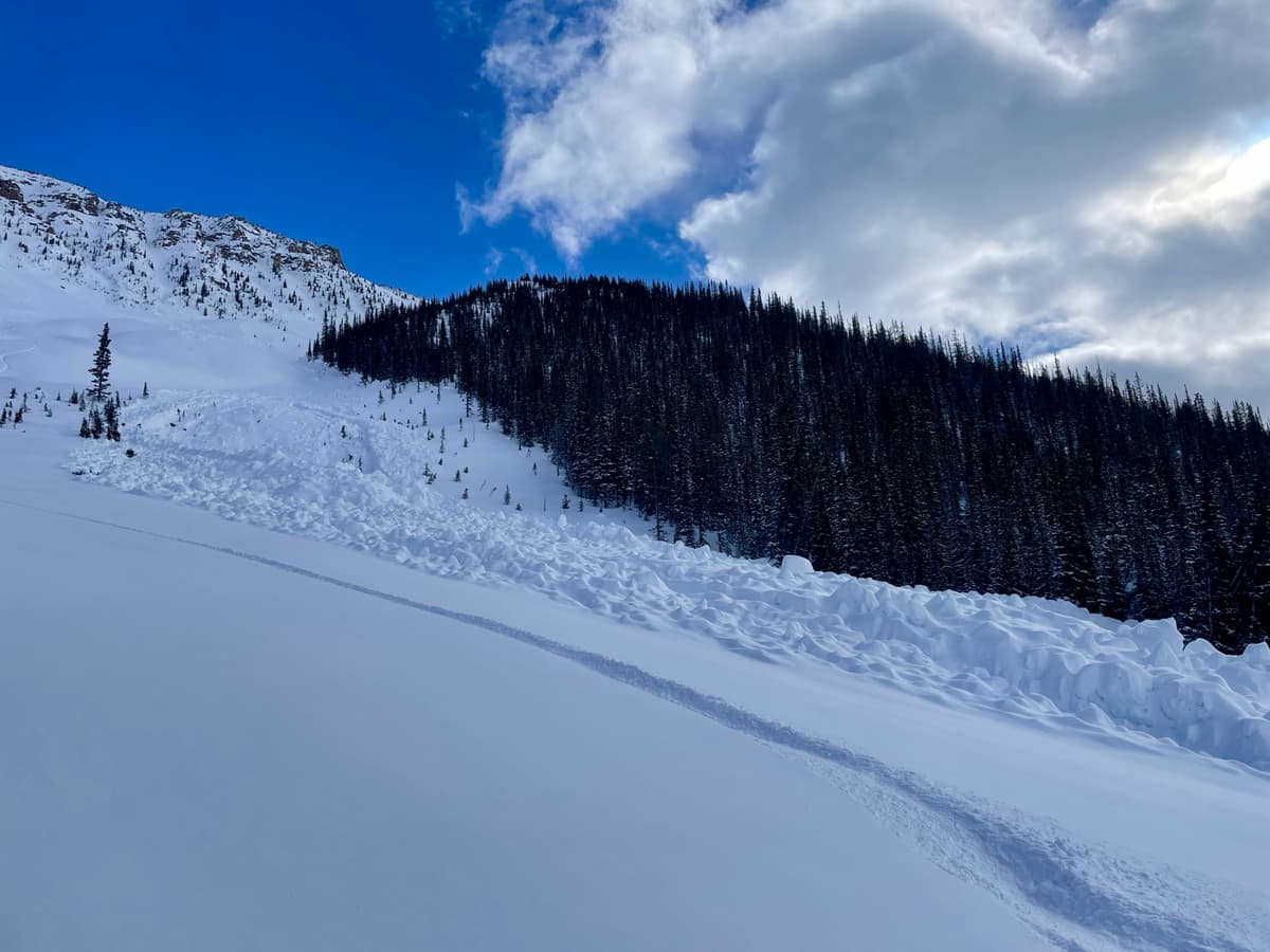 Debris from north of Christmas shoot down into Canyon Creek