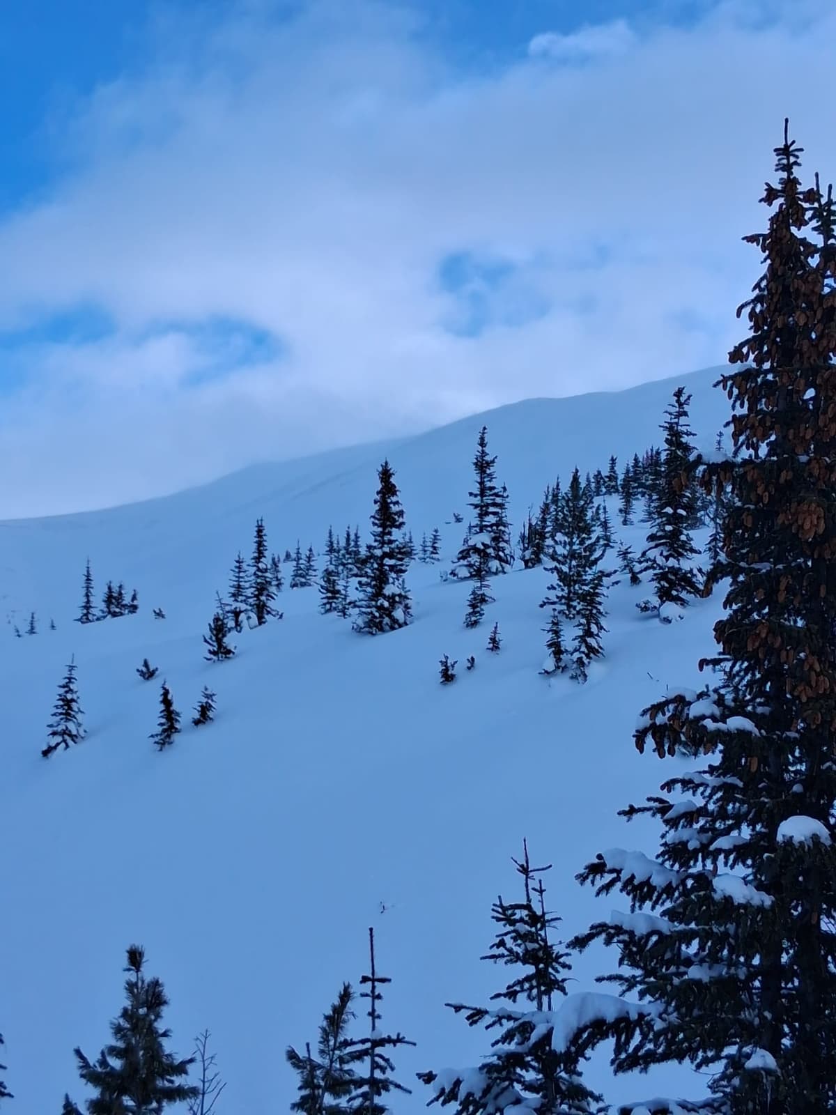 Strong winds and blowing snow