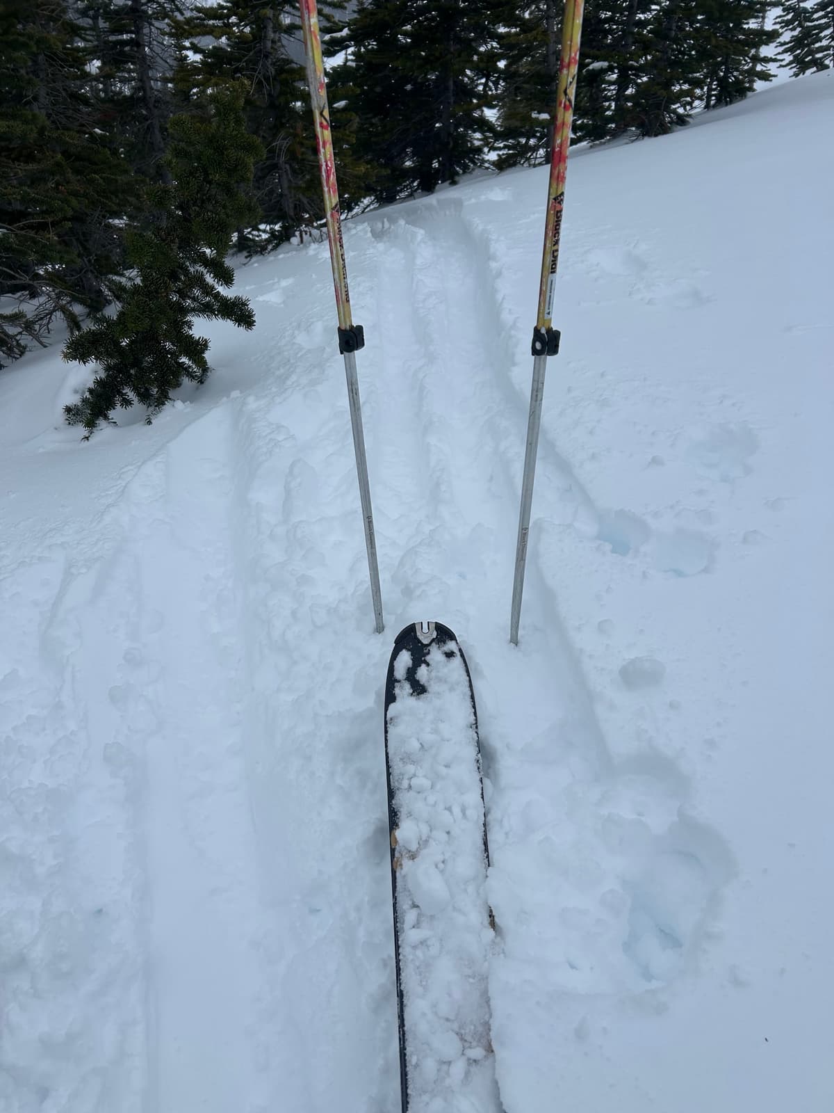 Half way up to Bow Hut. Snow quite firm.