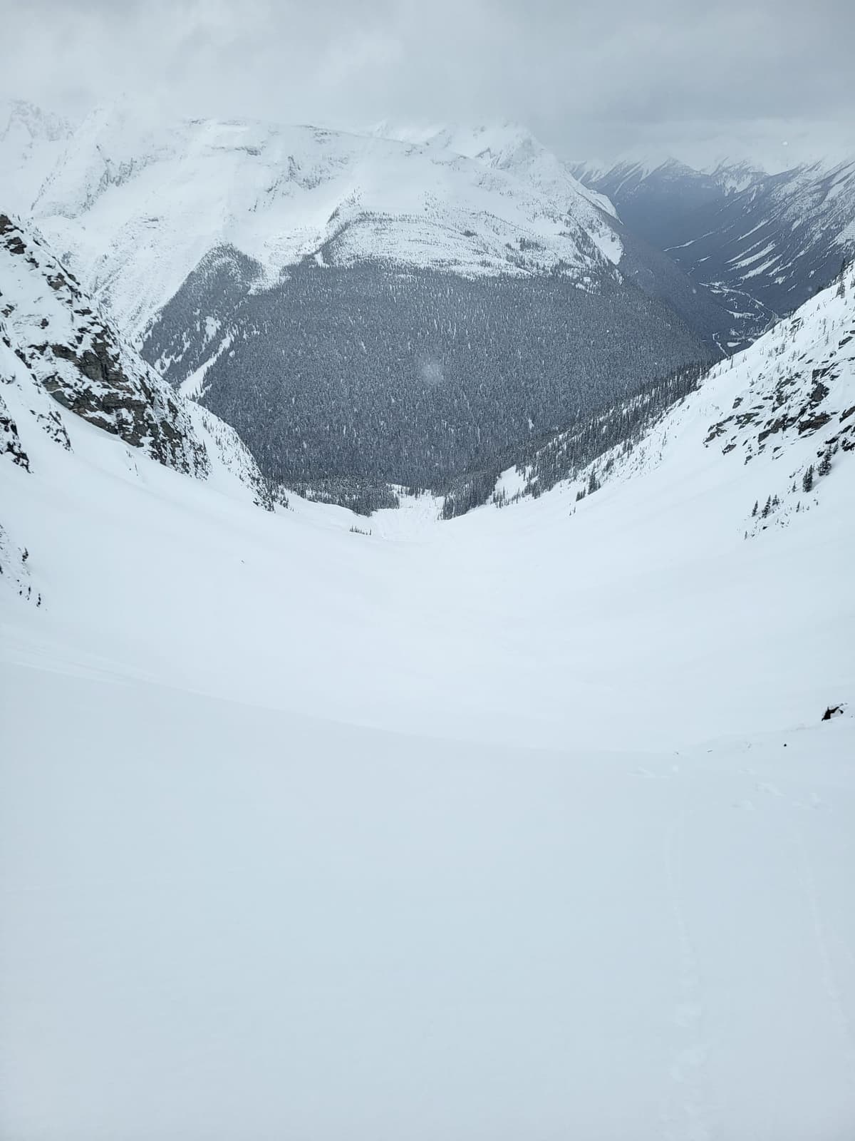 Overlooker Bowl 