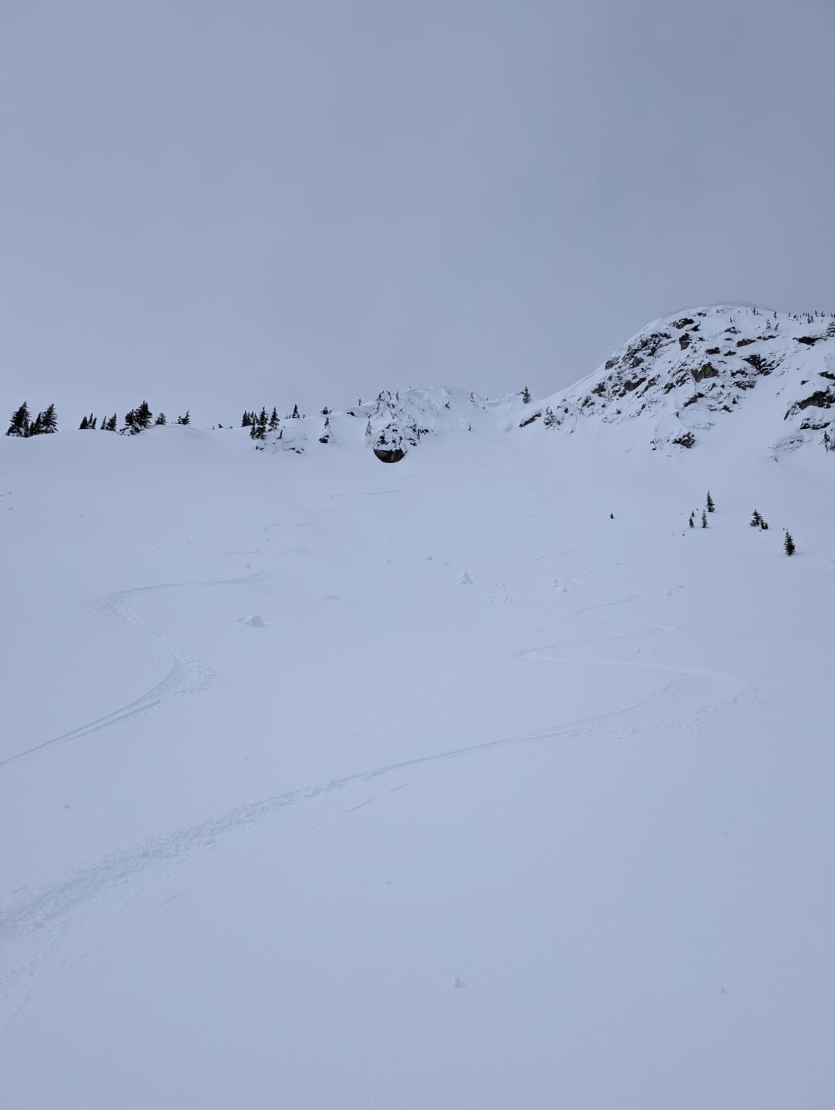 Looking at our tracks from Montana Peak