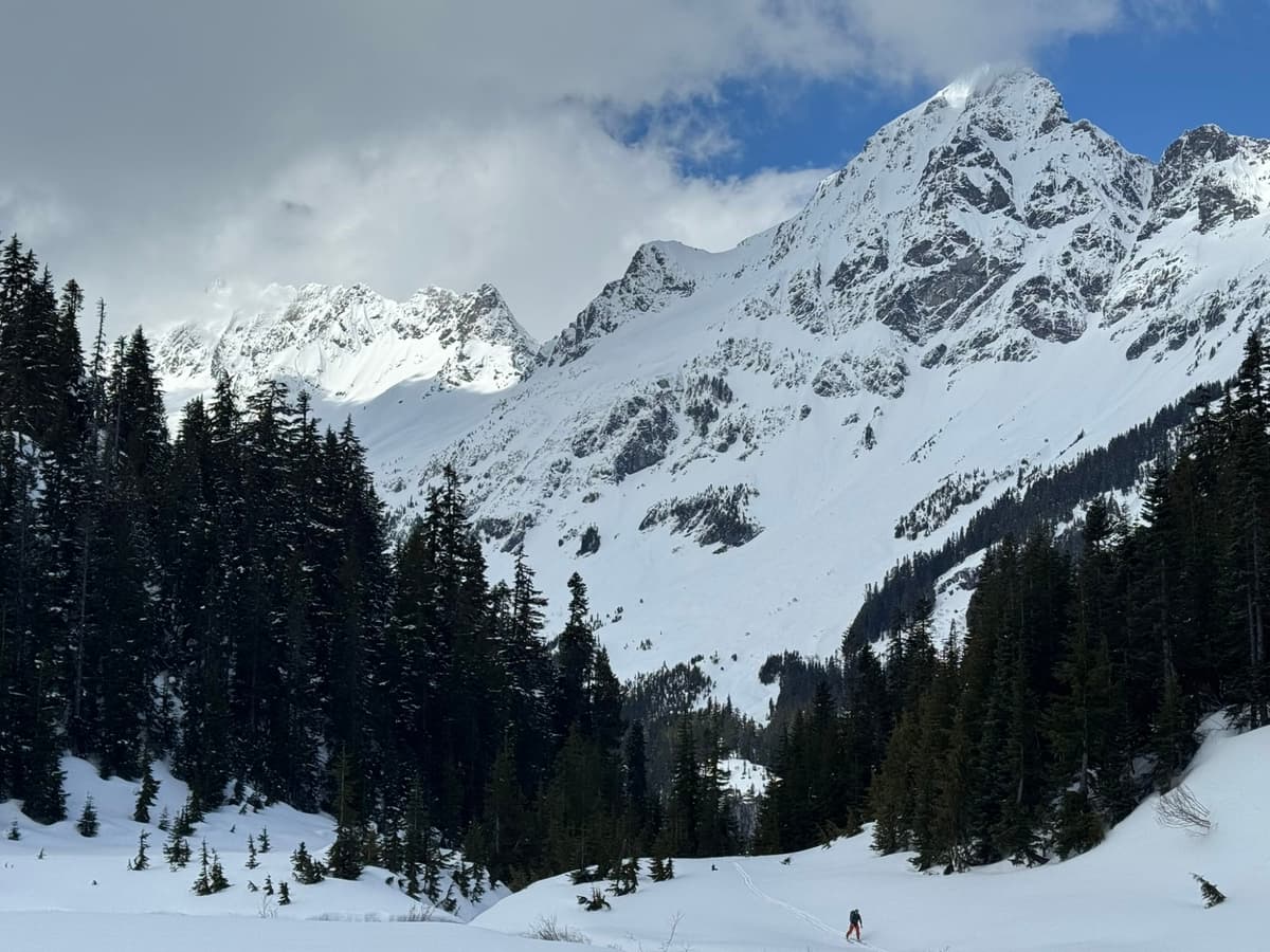 Mt. Alpha