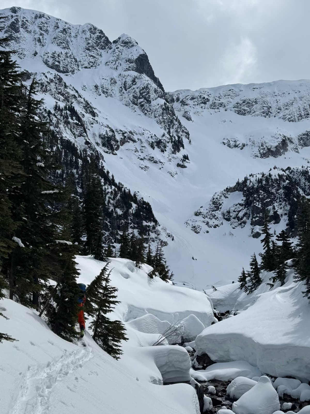 Creeks opening up - Niobe Meadows