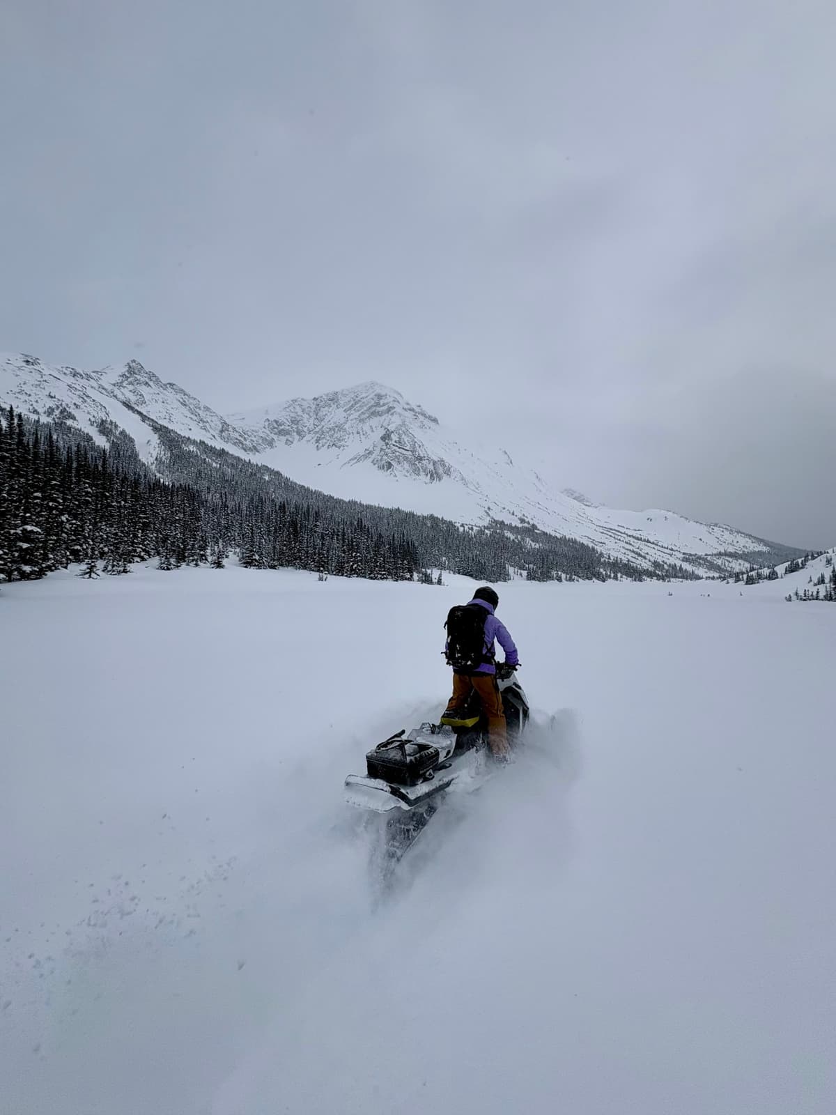 No spring in sight