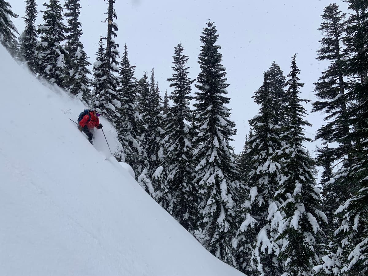 Best skiing was found on North aspects with tree shelter