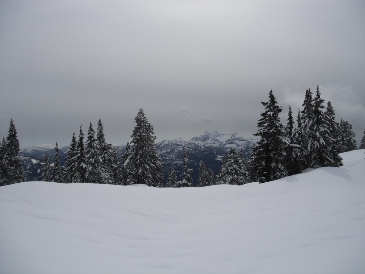 Snow runnels at treeline