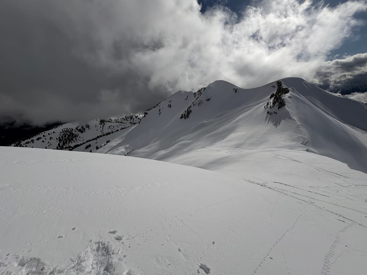 South facing slope 