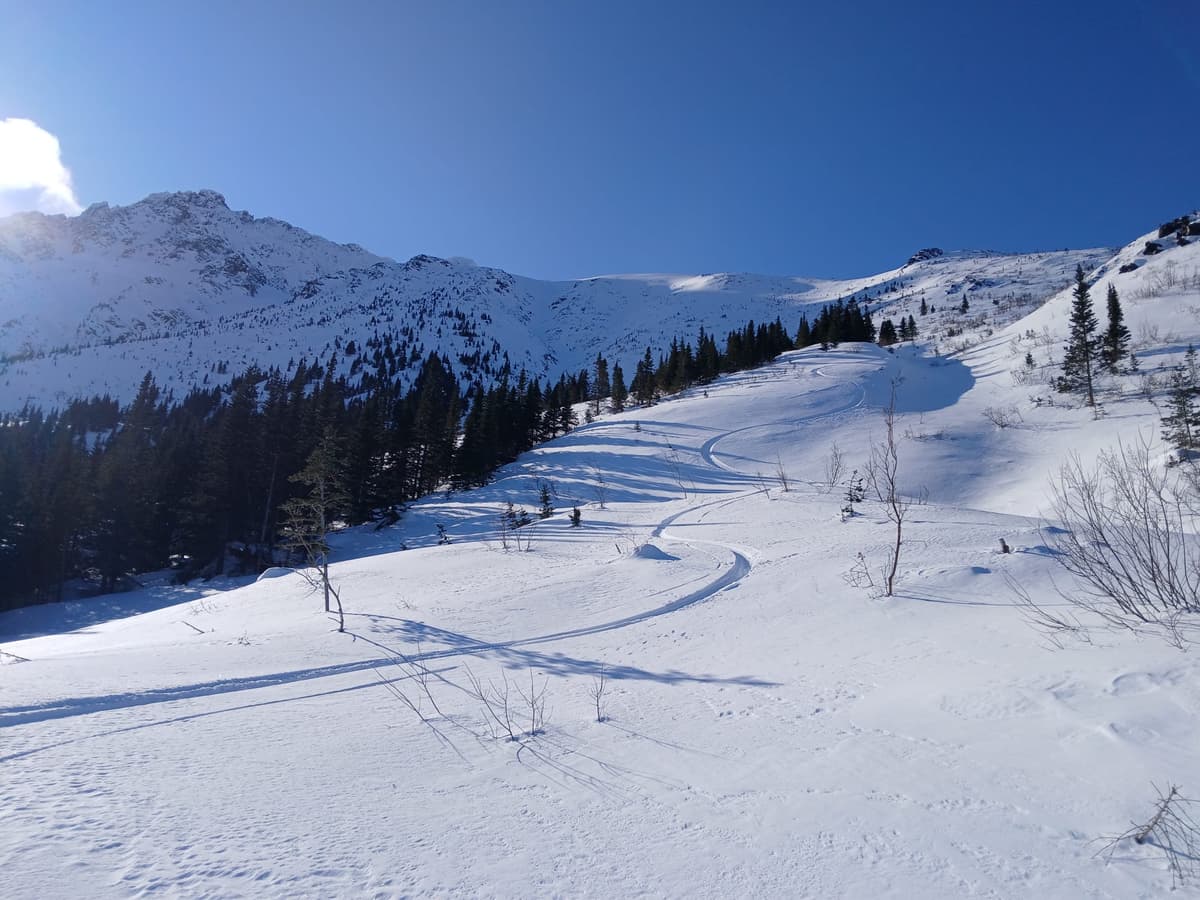 Supportive Facets in sheltered TL gave good skiing.