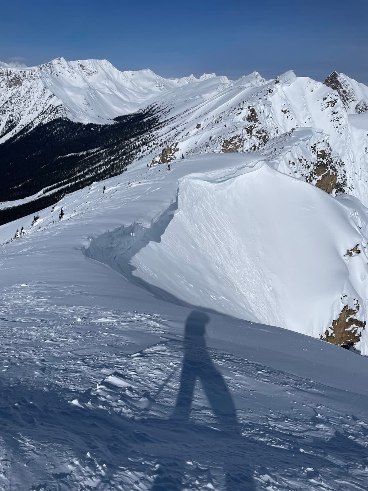 Toilet bowl cornice failure (morning)