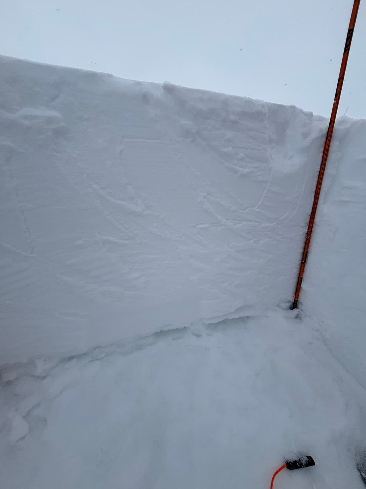Weak layer above mid March rain crust. East facing slope. 