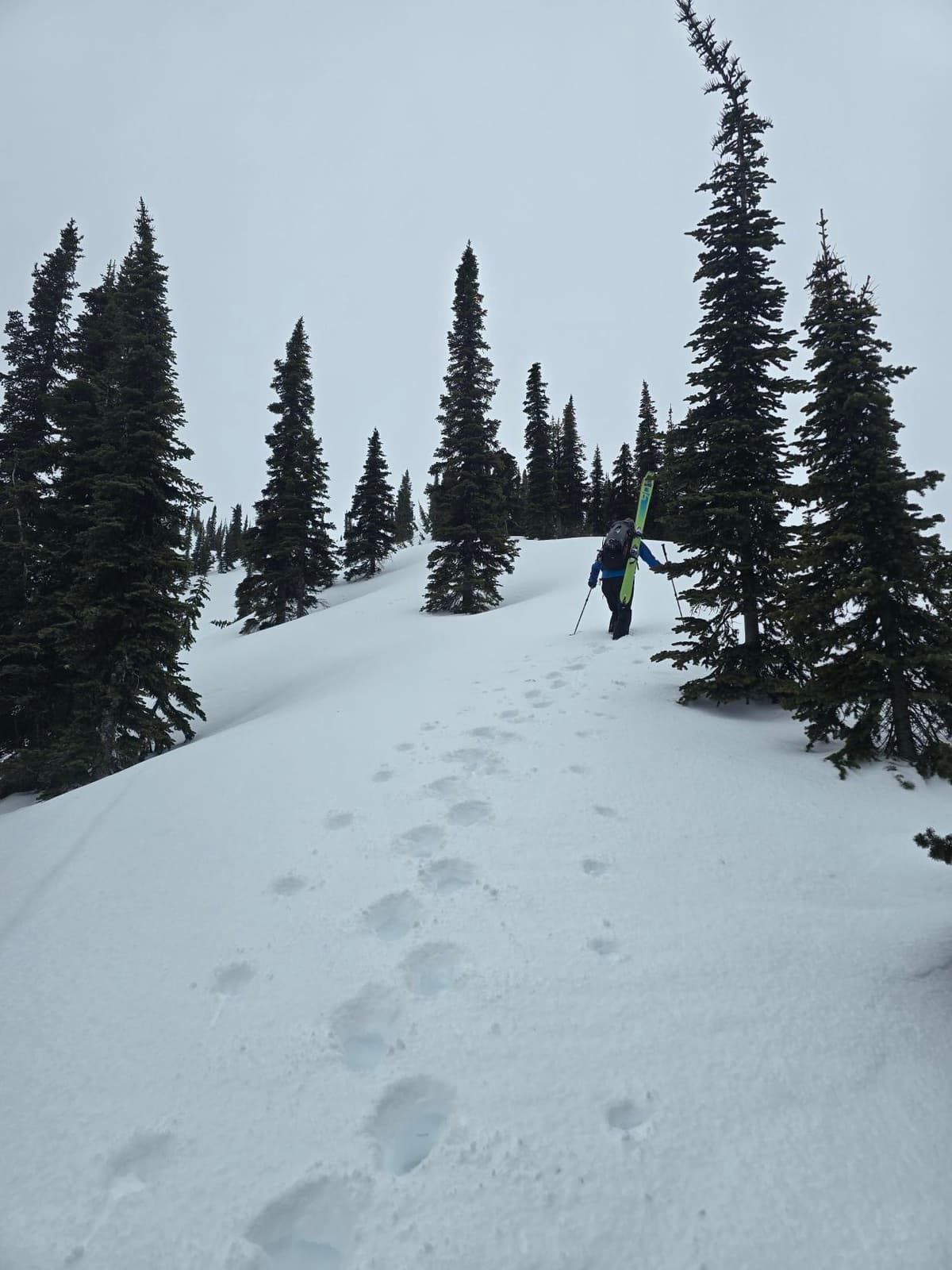 Bootpacking up steep terrain with breakable crust was more efficient than using ski crampons.