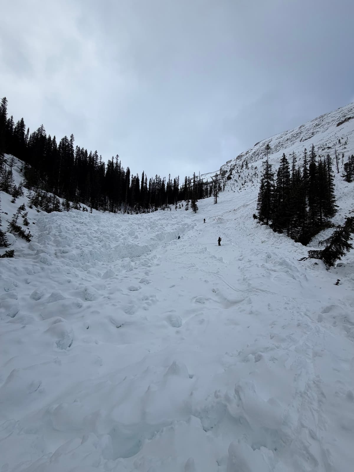 Paget Peak NW2.4 size 4