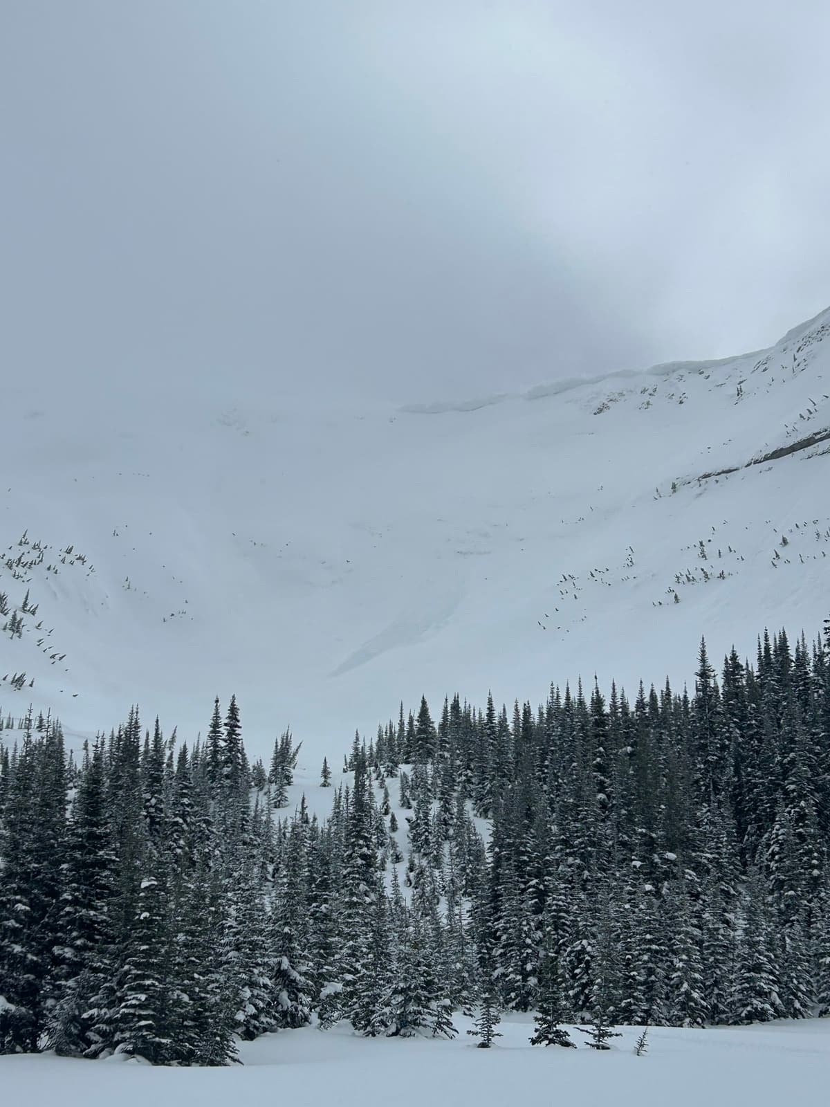 12-24hrs old NE ASP ~1700m recent avalanche activity