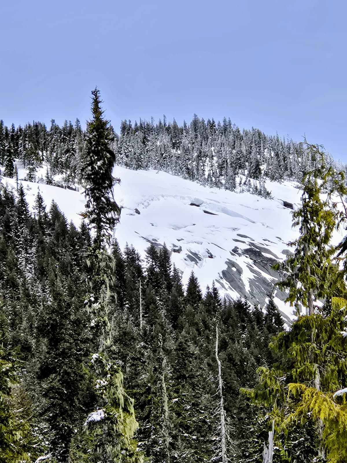 Crown line on Zupjok