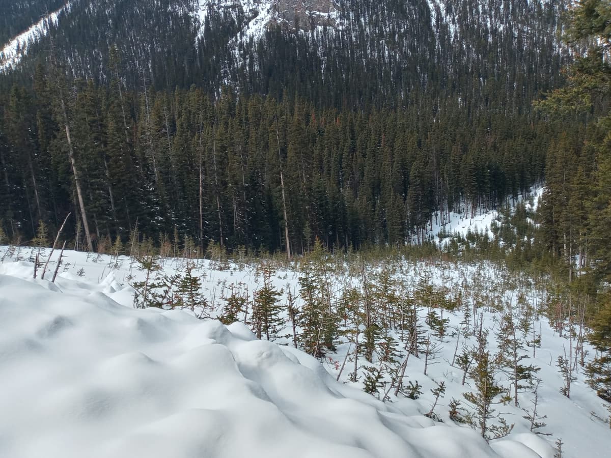 5.5km slide path