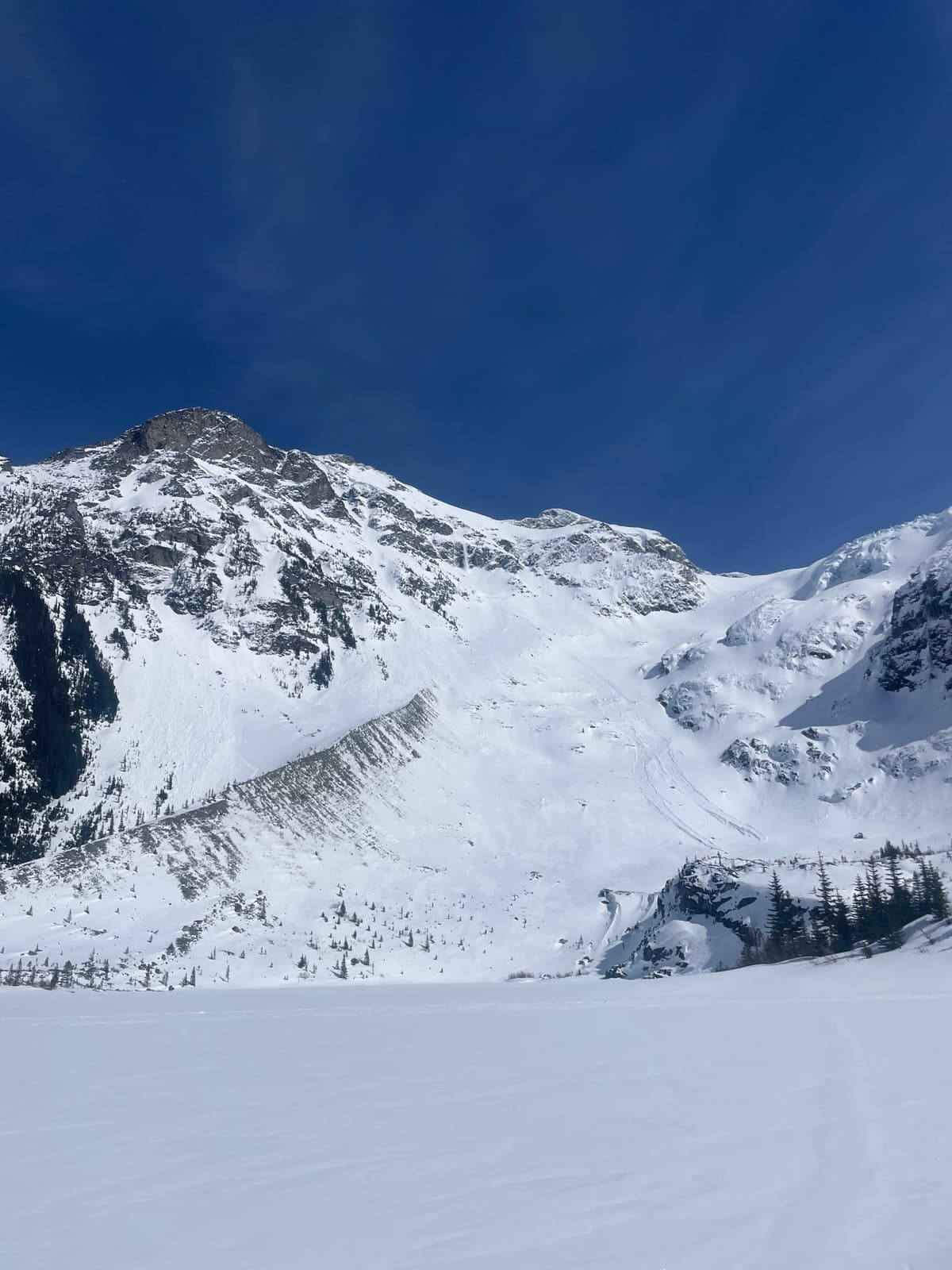 Several natural wet loose avalanches coming down off south facing slopes in the afternoon (1pm)