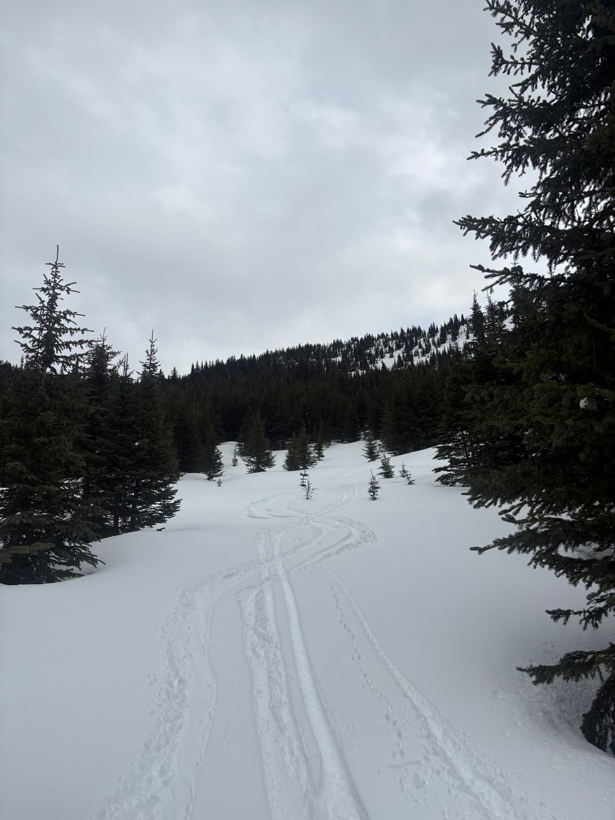 Heavy skiing! 
