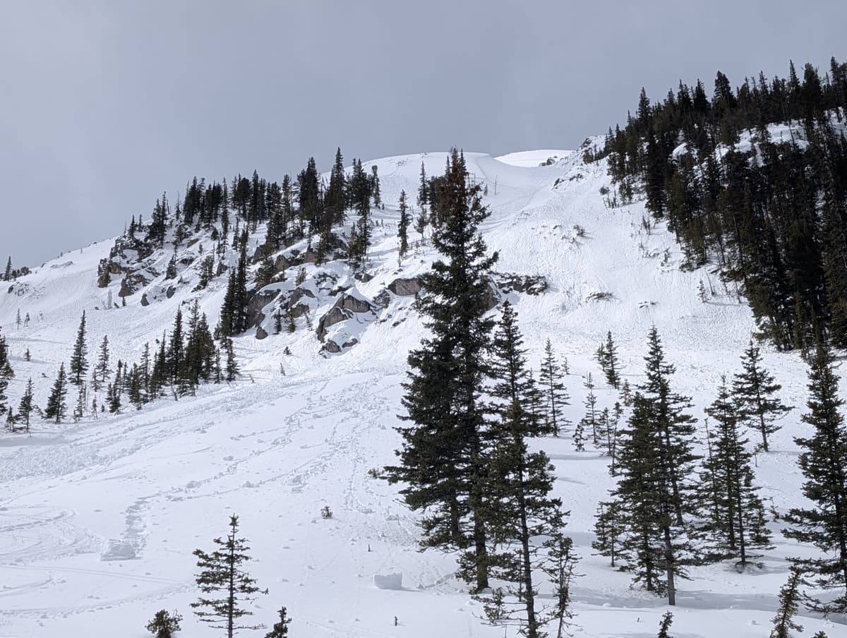 Some recent wet loose avalanches