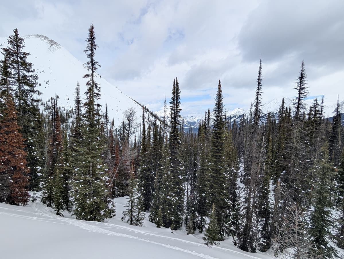 Heavy snow on the ski out