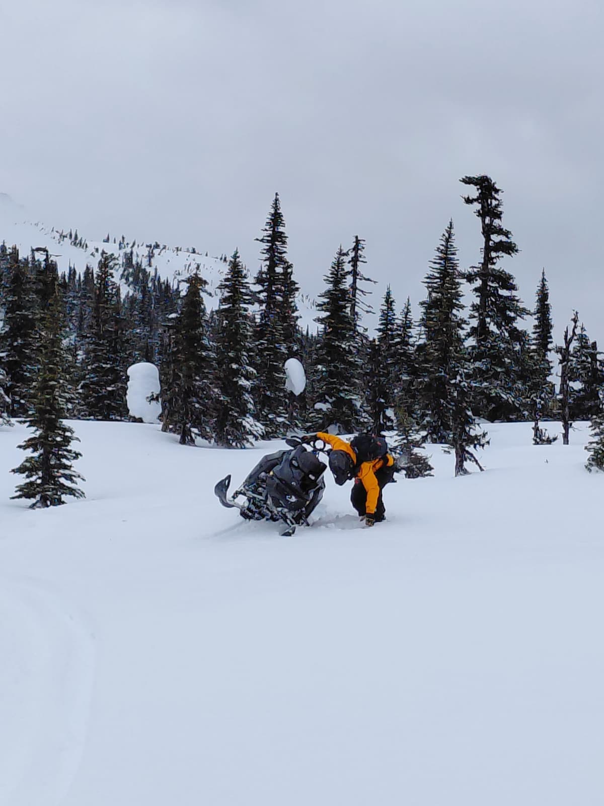Less snow then expected