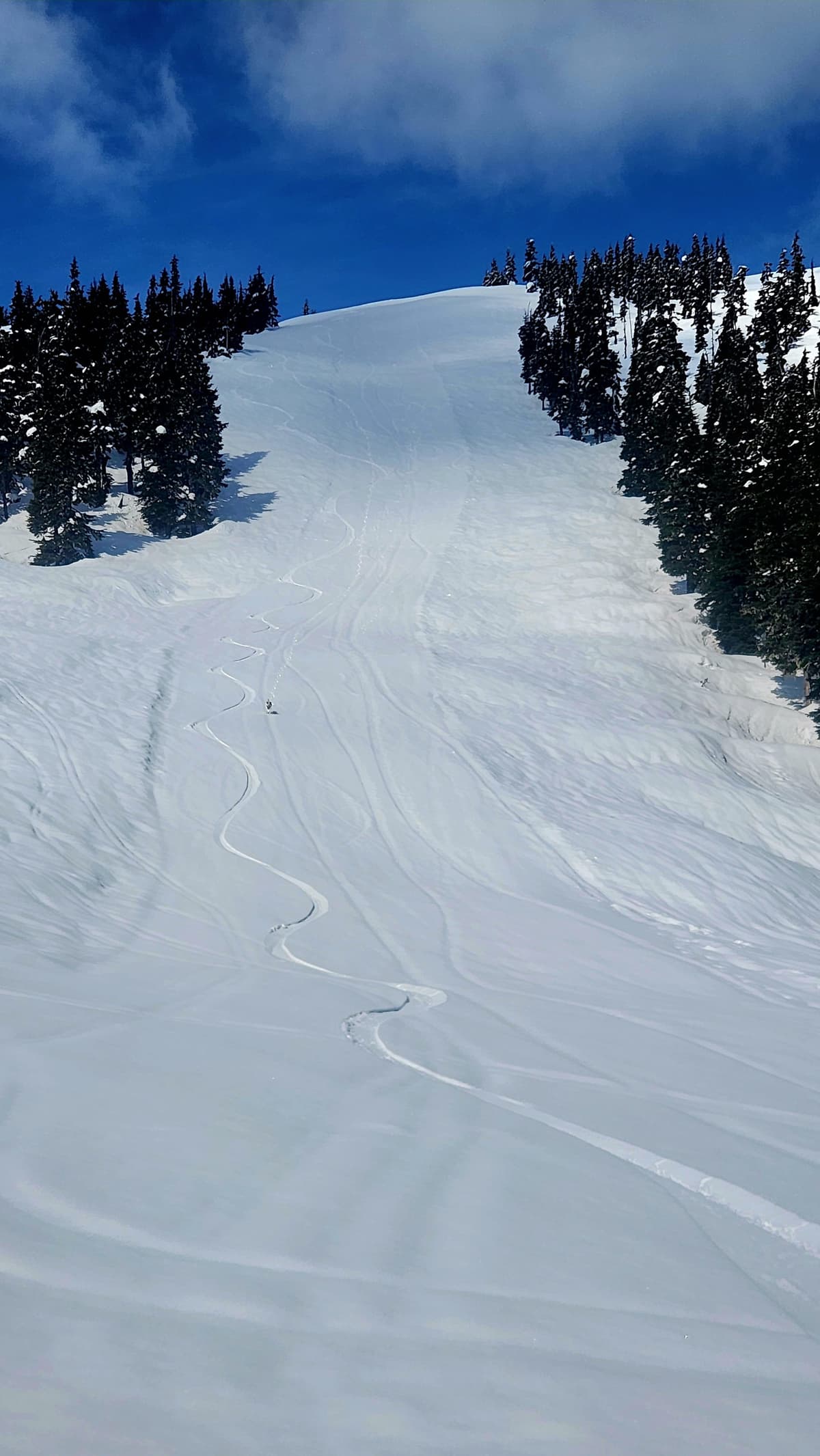 Super fun on the smooth groom runs