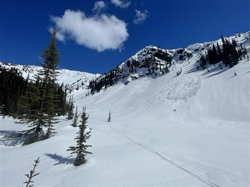 Old, loose wet avalanche.  