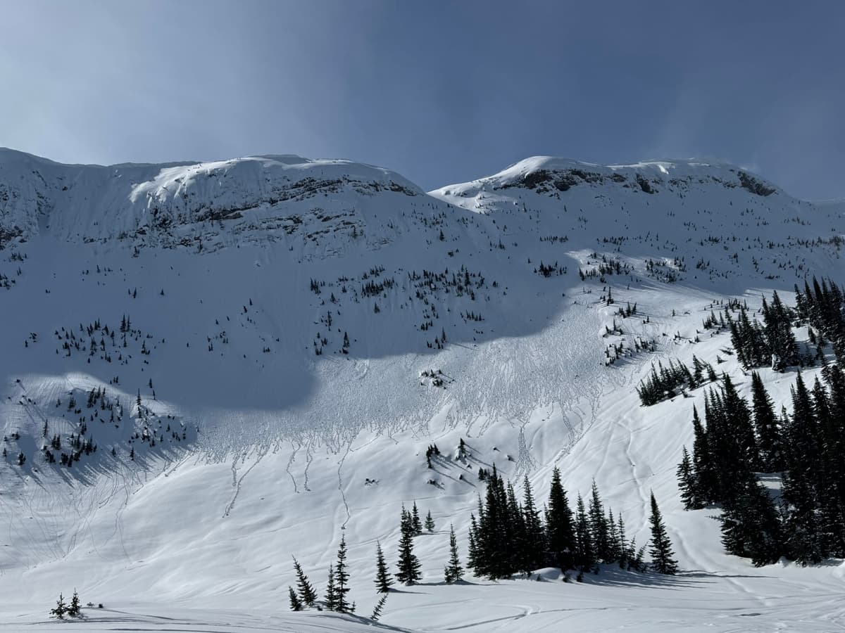 Steep and rock terrain was actively shedding moist snow.  