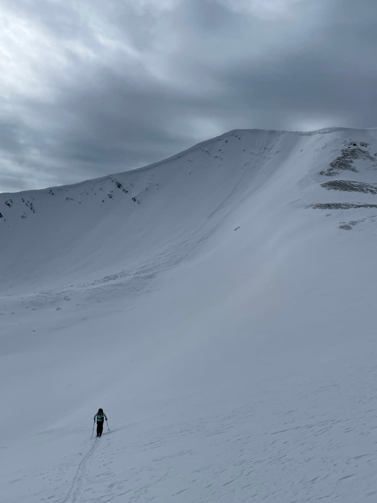 A little wind blown in the alpine but still soft. 