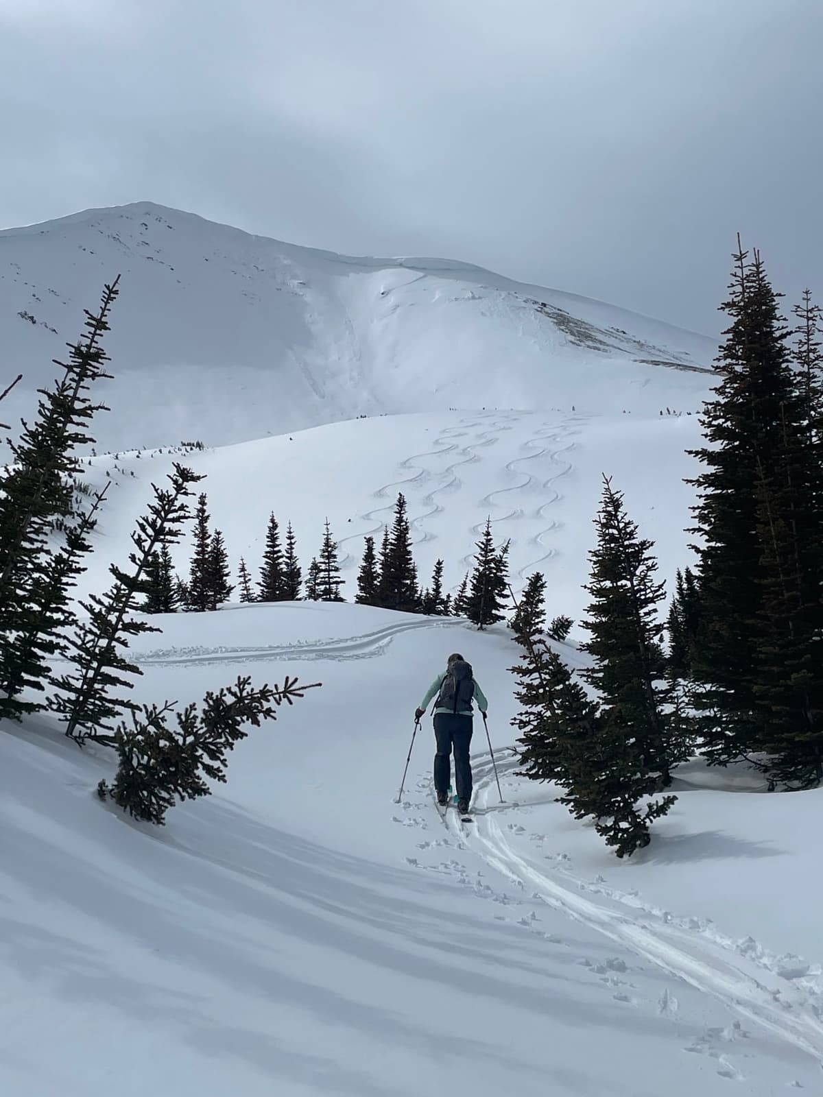 Great April powder on NE facing slopes, starting to get sun affected elsewhere. 