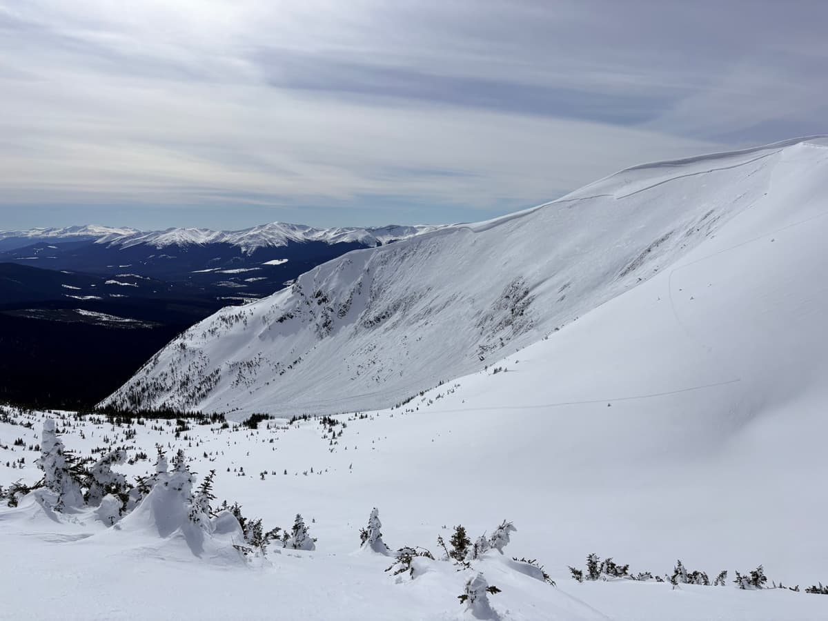 North east facing slope extensive propagation. Took out large cornices on left side of photo. 