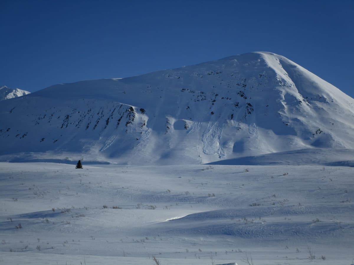 Some wet avalanche, from the road close to kelsall lake.