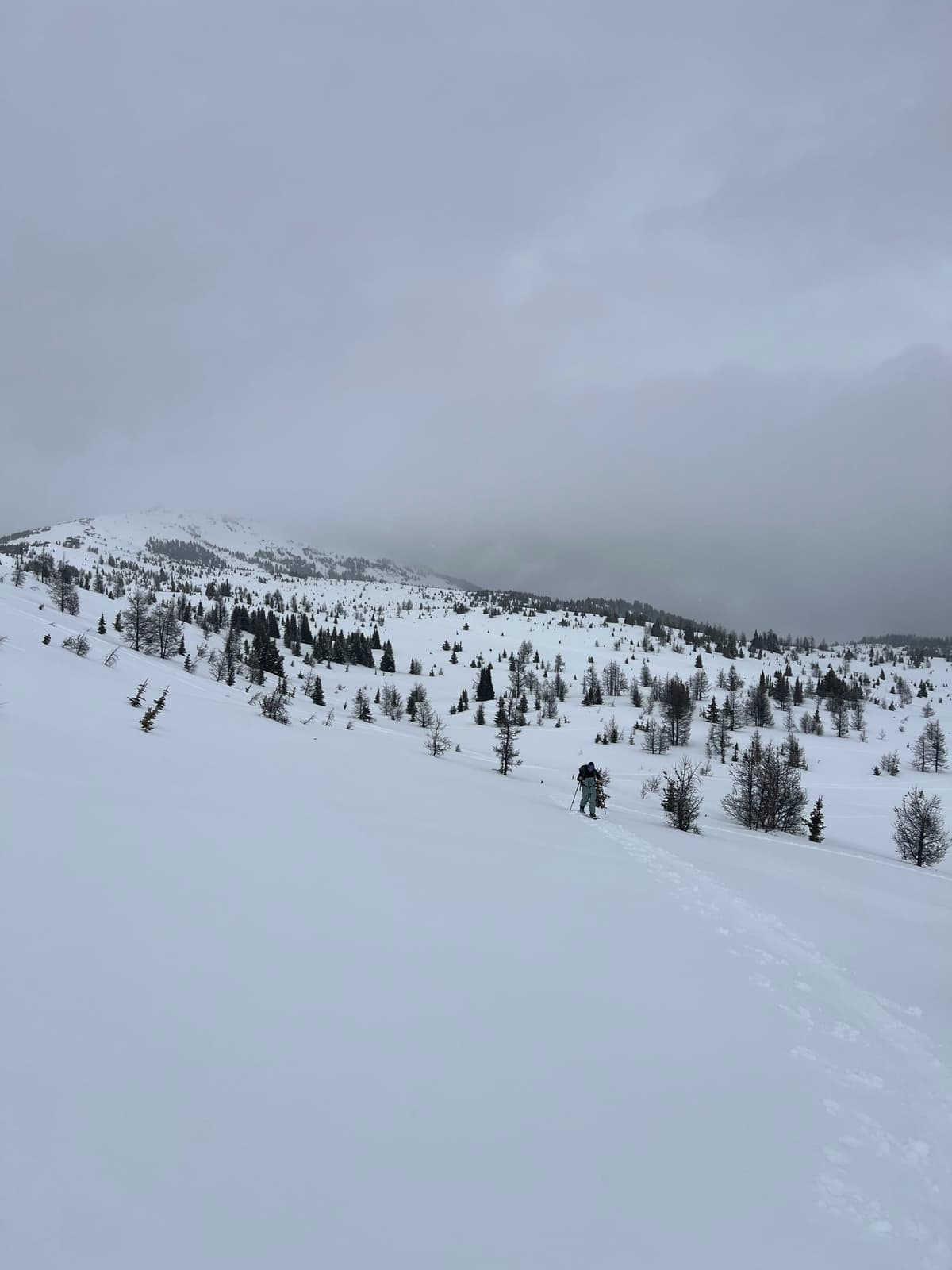 Approach to the bluff