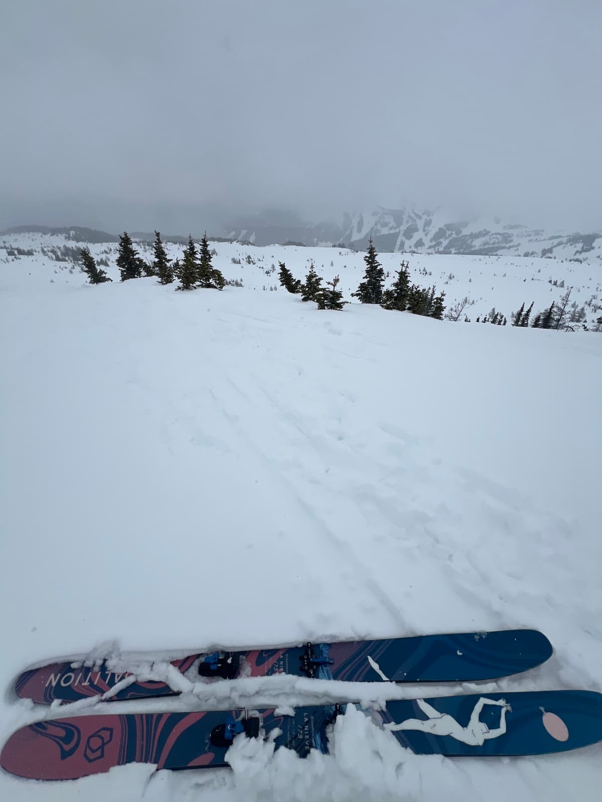 Summit of the bluff right behind Wawa Chair