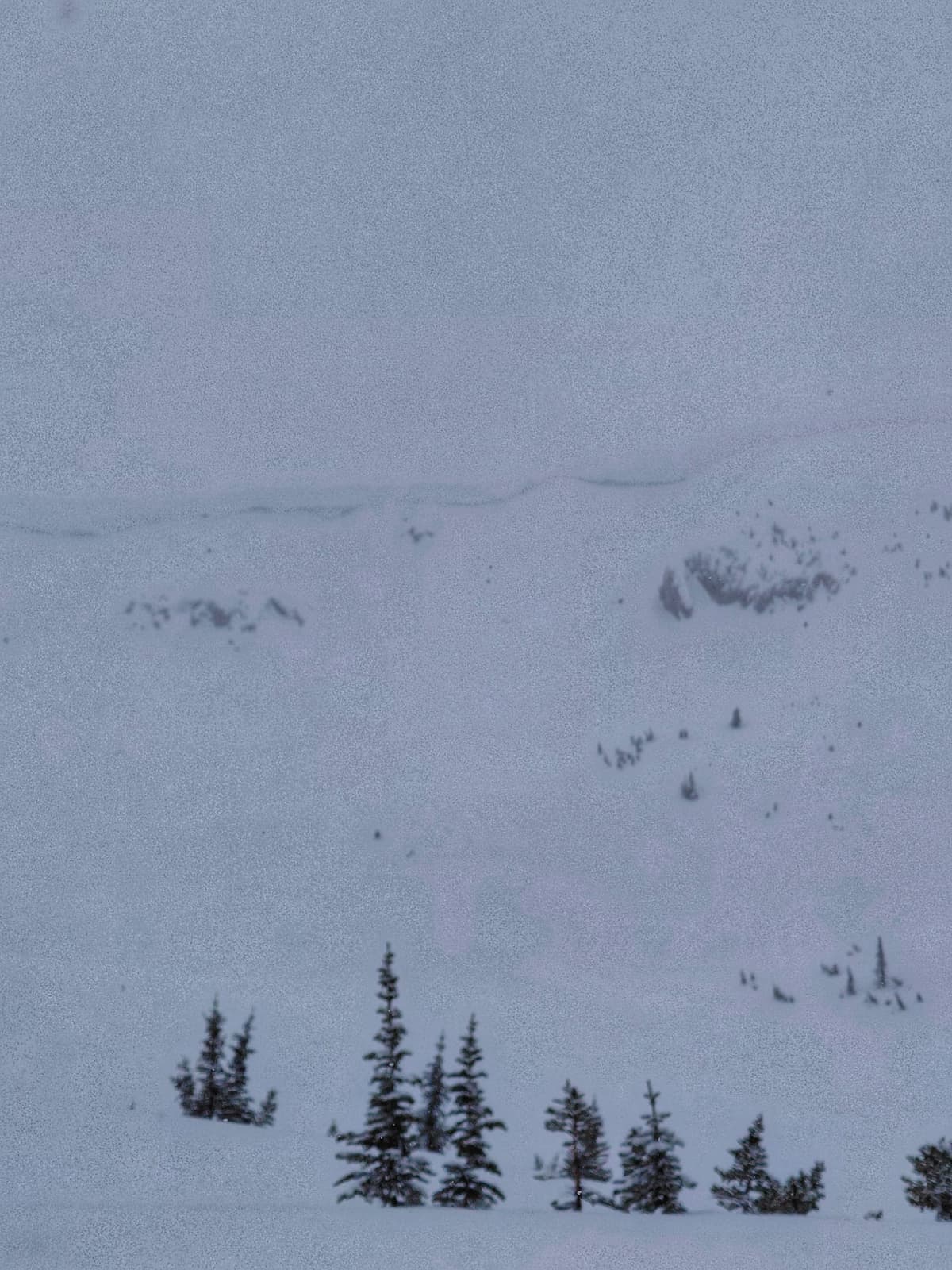 Full size cornices
