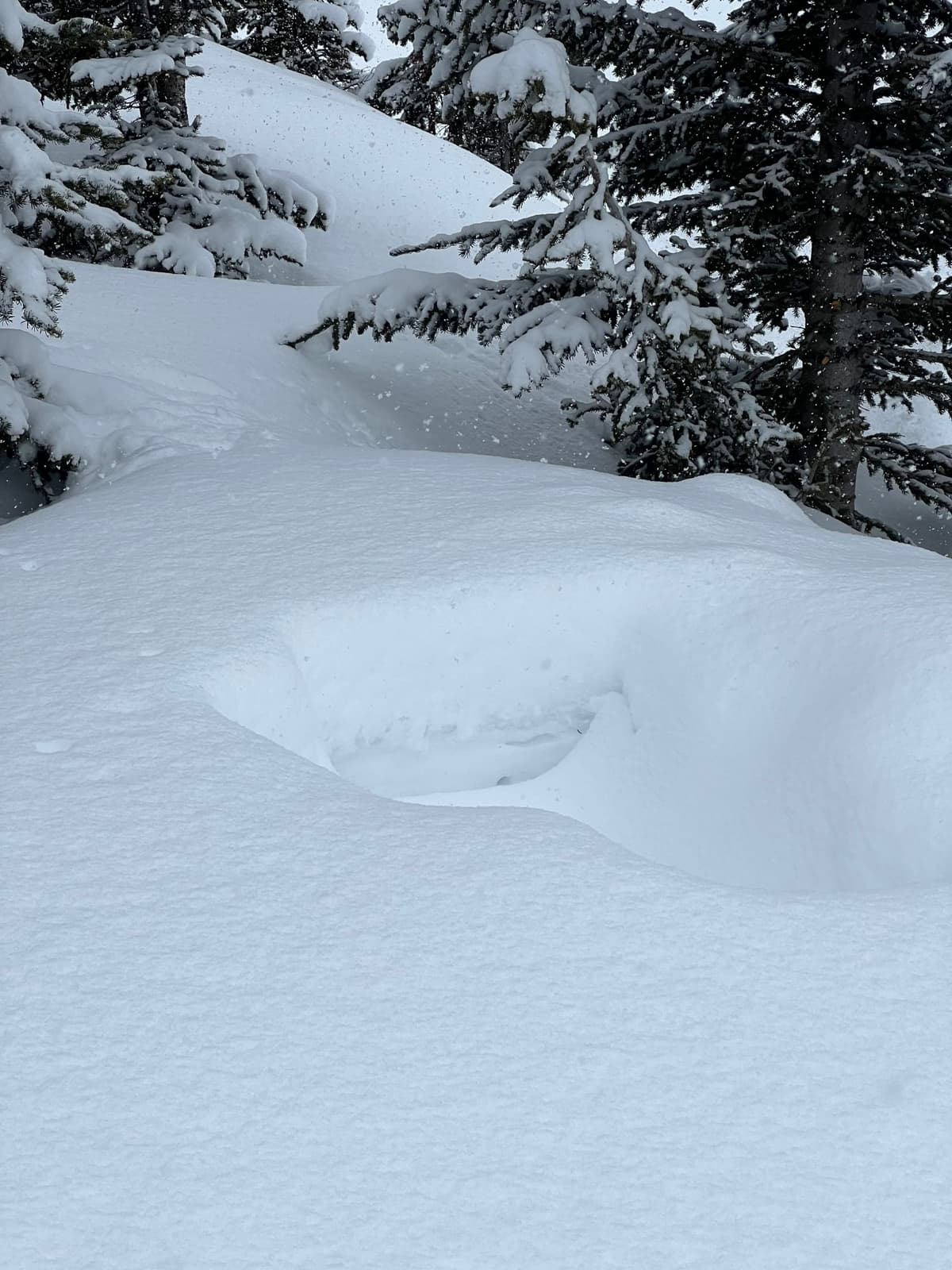 New snow over last weeks profile.