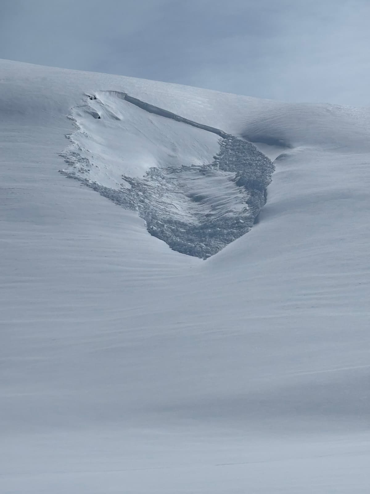 Wind slab NW aspecyt at 1150 meters.