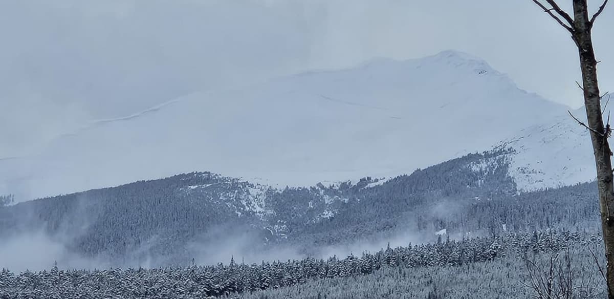 Hazelton Mountain - South face: Photo taken from town. Massive avalanche the size of half of the whole south face. Big wide and thick crown visible from town on Apr 14. The PWL seems to be waking up!!!