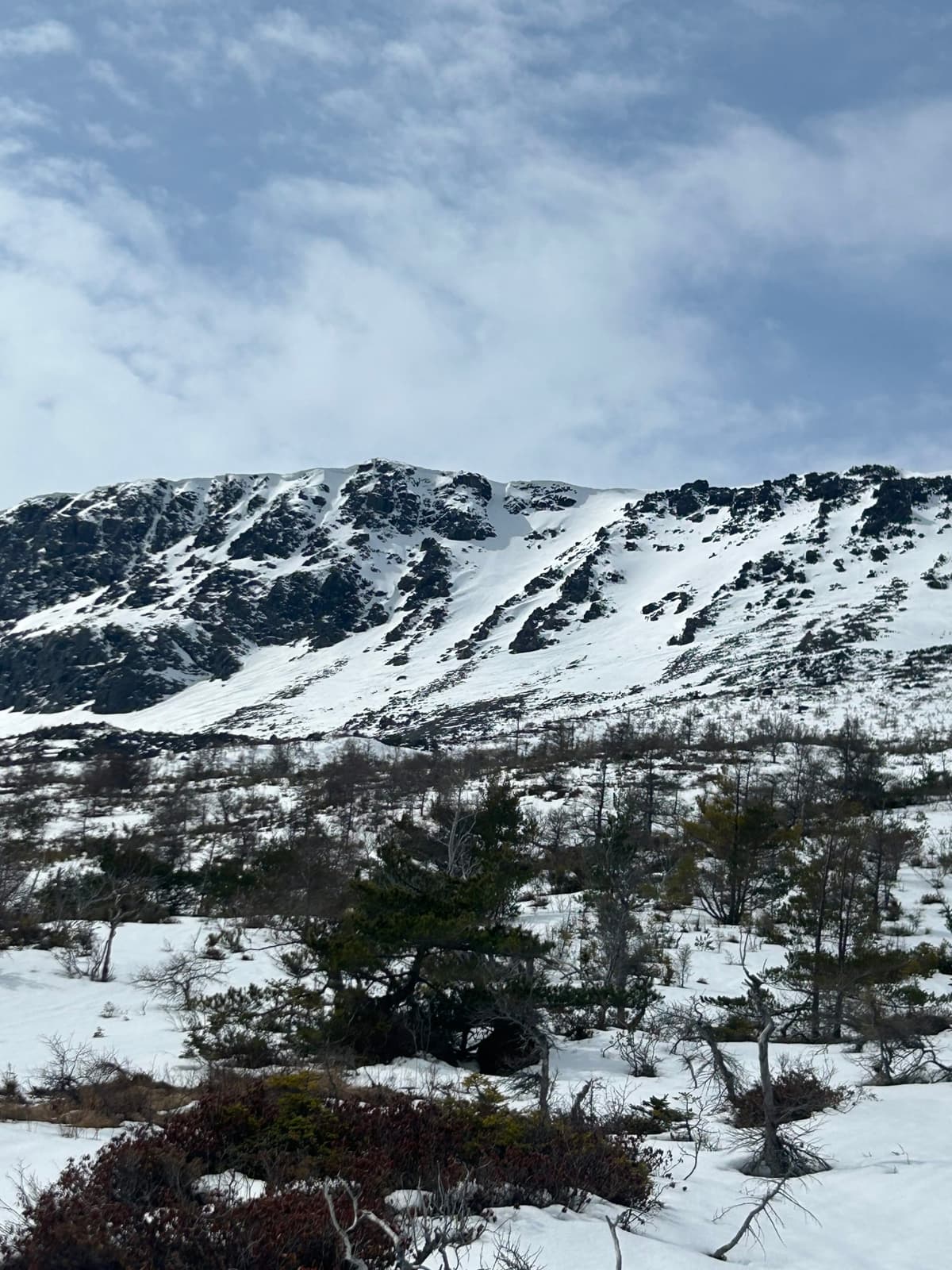 Mainline holding snow, but run out is getting thin. A slide would end in exposed rocks. 