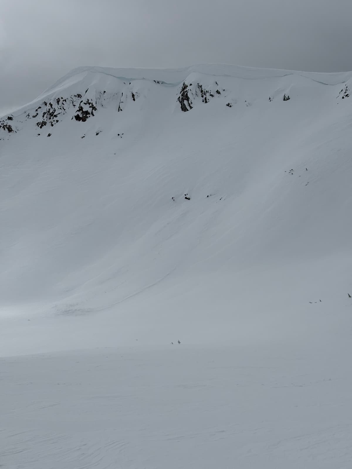 Natural size 1.5 wind slab from the last 48 hrs 