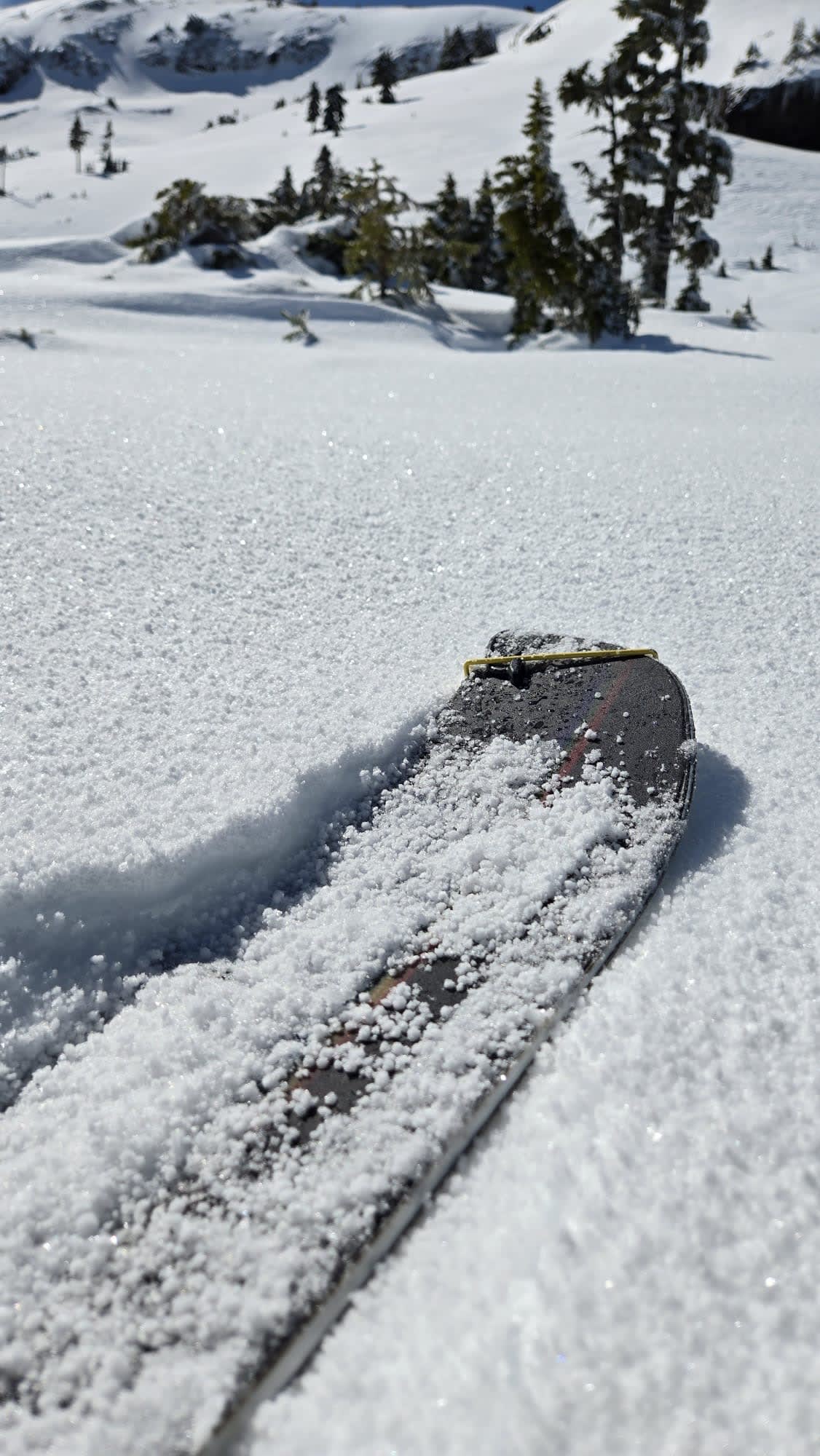 A fresh coat of graupel on the surface