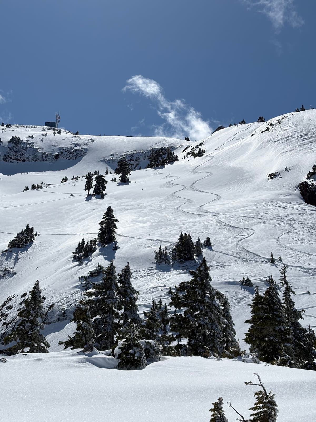 Snow was quickly transforming in the sun