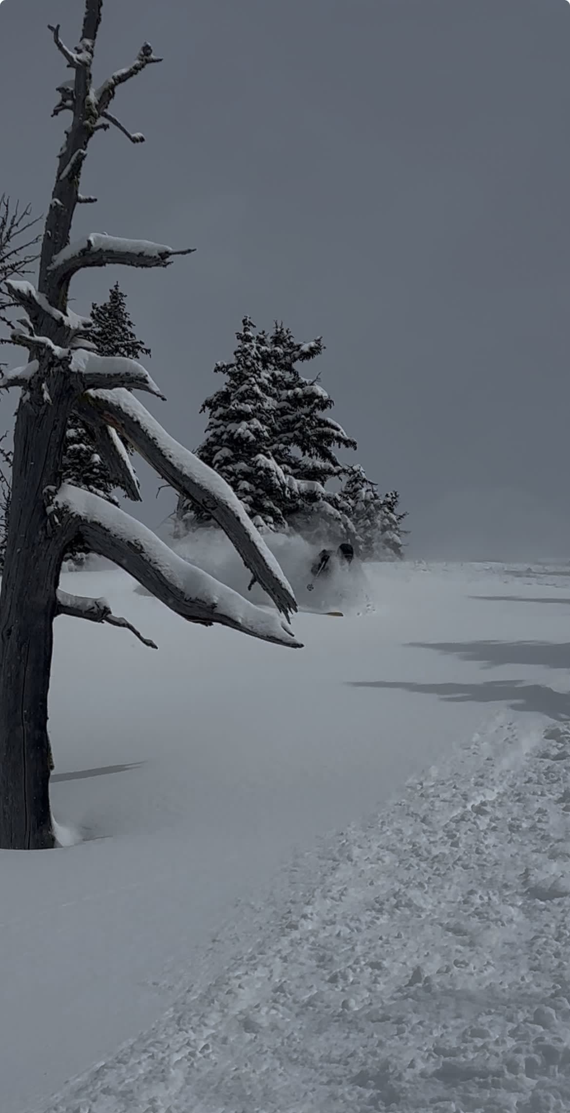 Great turns in sheltered areas!