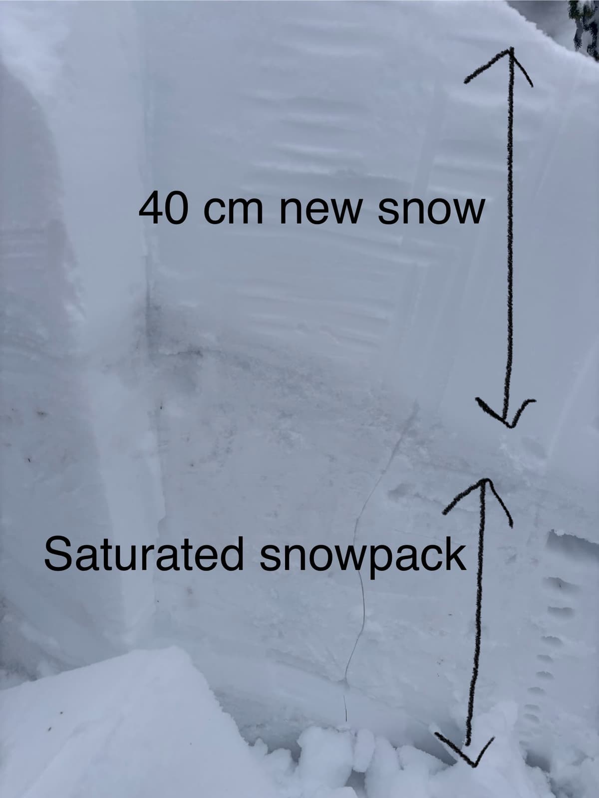 Snow profile at 1800 m