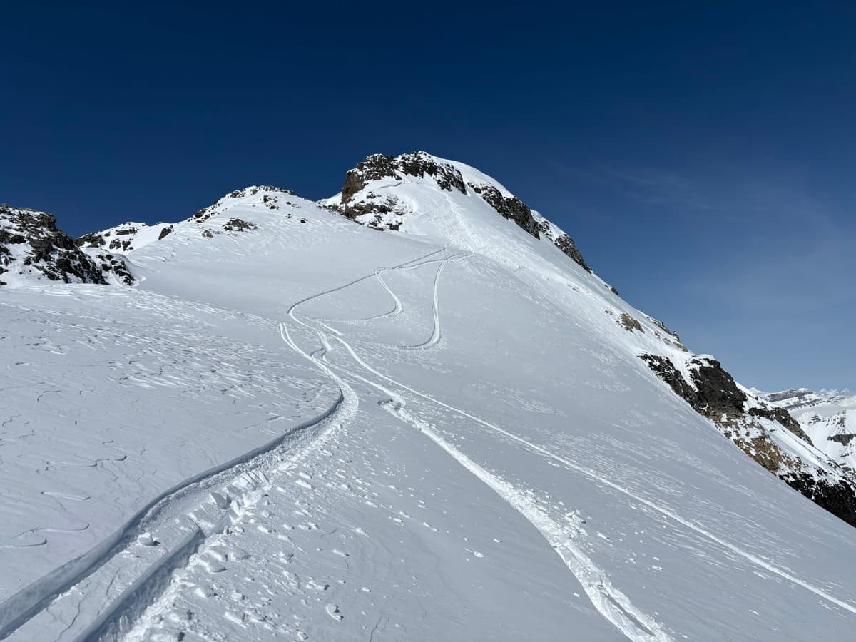 Wind slab that triggered a dry loose 